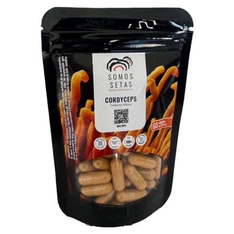 Cordyceps · Cápsulas x60